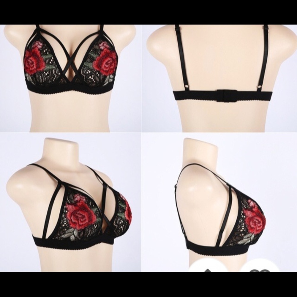 Brand new Rose bra. Runs small. - Picture 2 of 4